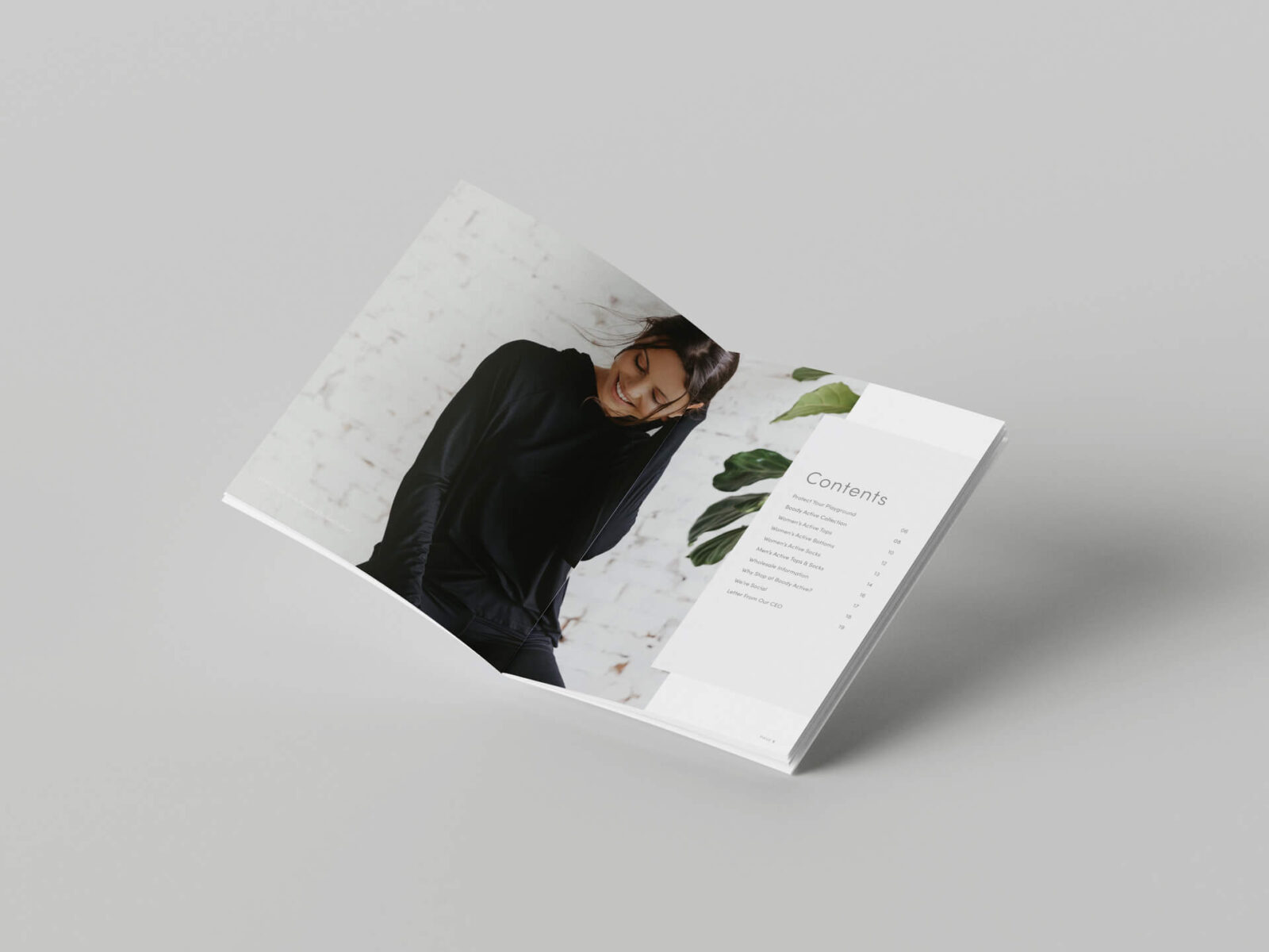 A crisp booklet that displays photos and texts