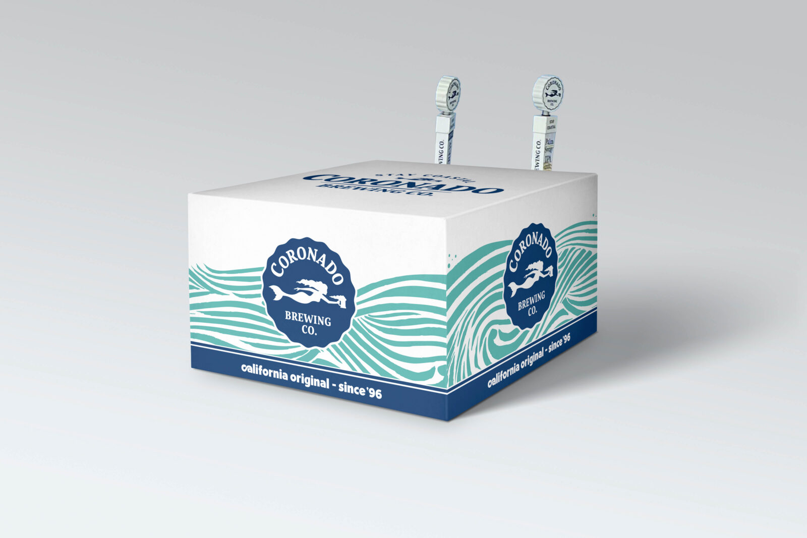 Stylized folding box packaging for a beverage company